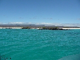 Galapagos Inseln